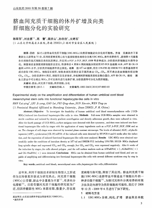 脐血间充质干细胞的体外扩增及向类肝细胞分化的实验研究