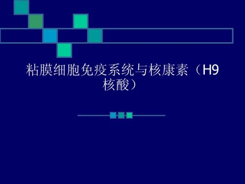 粘膜细胞免疫系统与核康素(H9核酸)