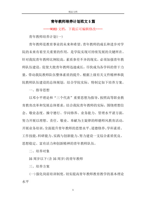 青年教师培养计划范文5篇