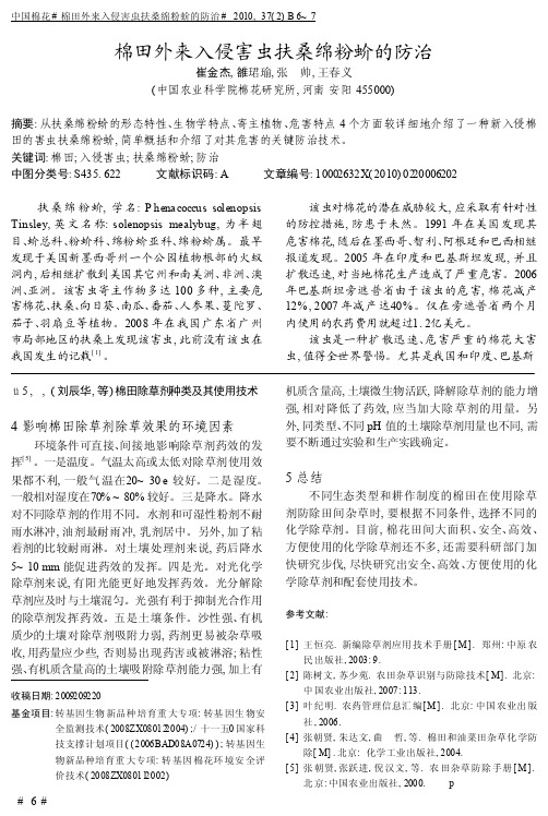 棉田外来入侵害虫扶桑绵粉蚧的防治