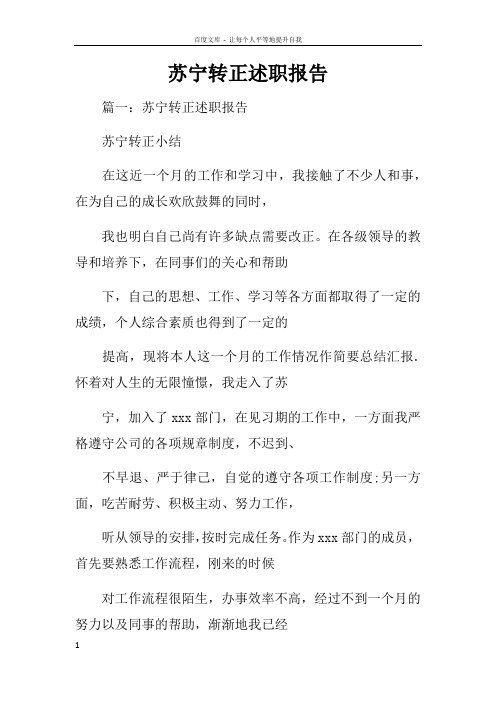 苏宁转正述职报告