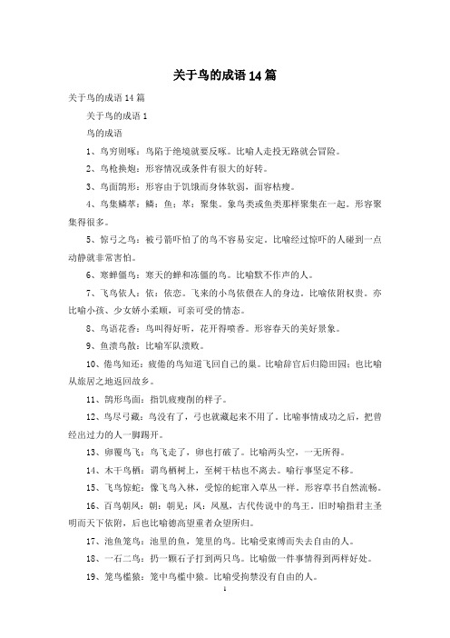 关于鸟的成语14篇