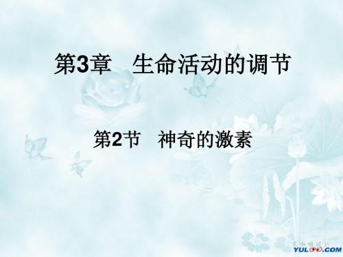第二节 神奇的激素(第二课时)