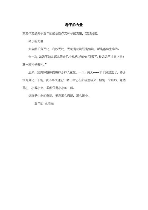 小学五年级话题作文：种子的力量