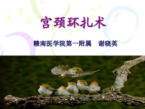 宫颈内口环扎术