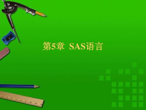 第5章 SAS语言