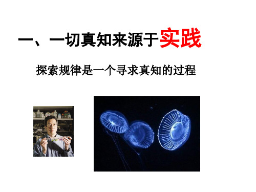 一切真知来源于实践