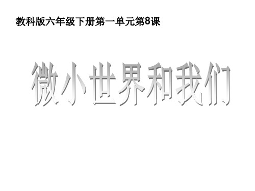 六年级下册科学课件1.8微小世界和我们 教科版(共17张PPT)