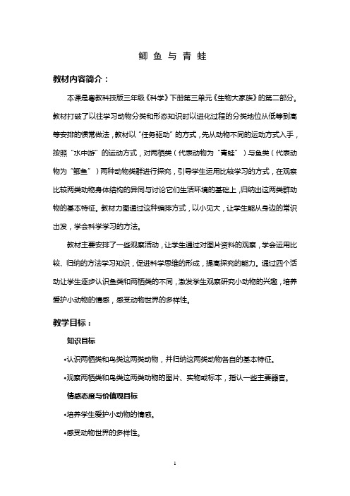 第九课 鲫鱼与青蛙
