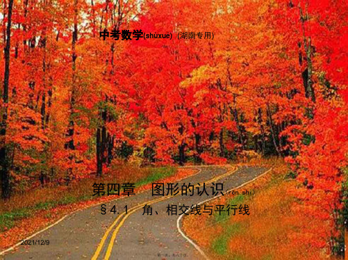 中考数学一轮复习第四章图形的认识4.1角、相交线与平行线(试卷部分)