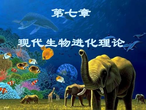 人教版高中生物必修2第七章种群基因频率的改变与生物进化(共29张PPT)