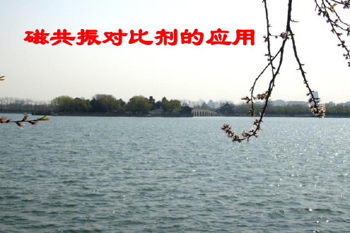 磁共振对比的应用剂