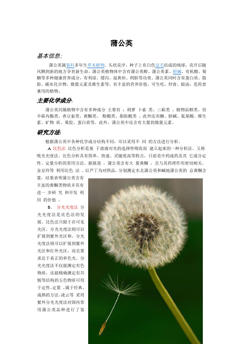 蒲公英现代化提取分析