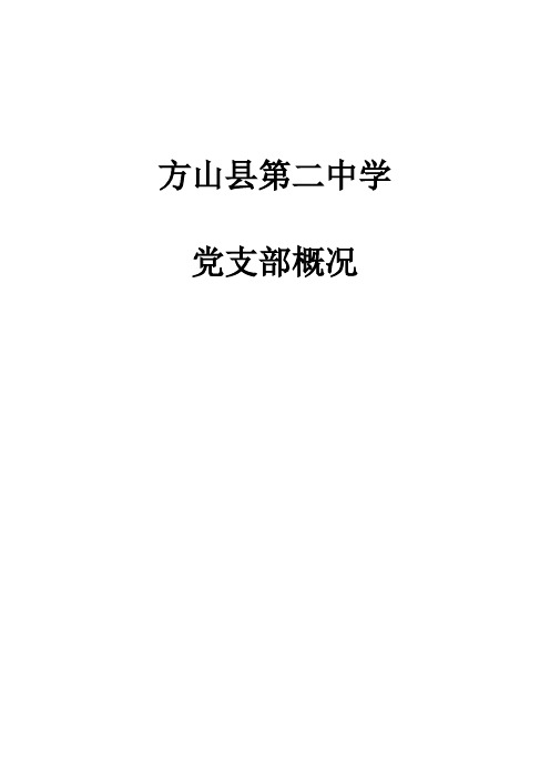 二中党支部基本情况