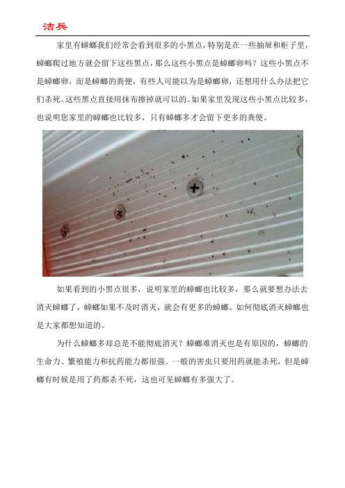 家里的小黑点是蟑螂卵吗