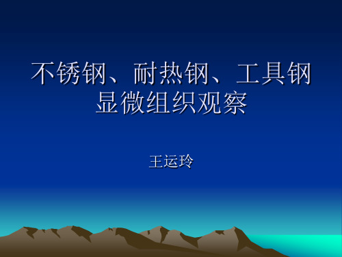不锈钢耐热钢工具钢显微组织观察-3.