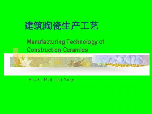 建筑陶瓷生产工艺ppt