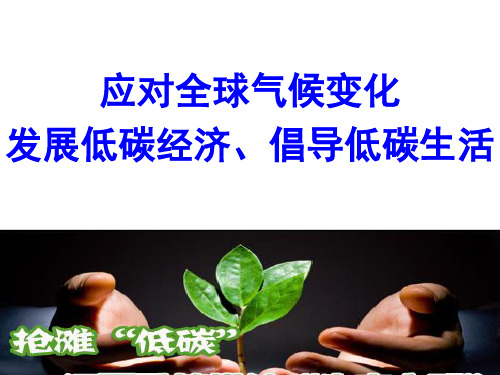 《发展低碳经济、倡导低碳生活》热点专题复习课件