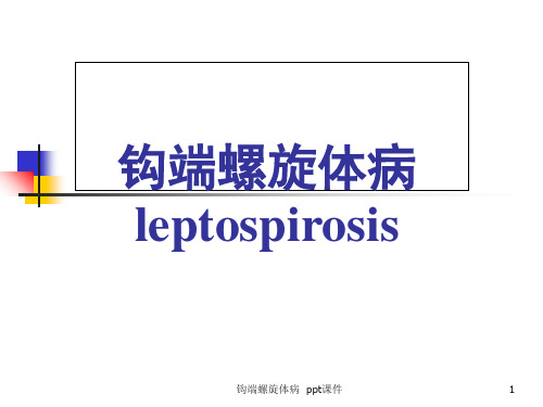 钩端螺旋体病 ppt课件
