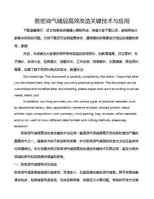 致密油气储层高效改造关键技术与应用