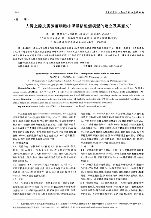 人肾上腺皮质腺癌细胞株裸鼠移植瘤模型的建立及其意义