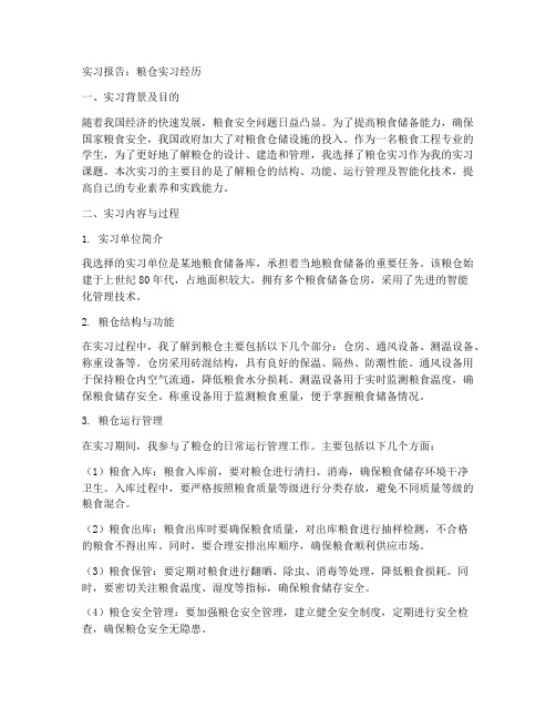 粮仓实习报告
