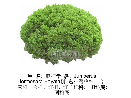 华南地区园林植物