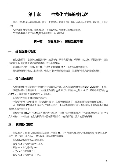 生物化学氨基酸