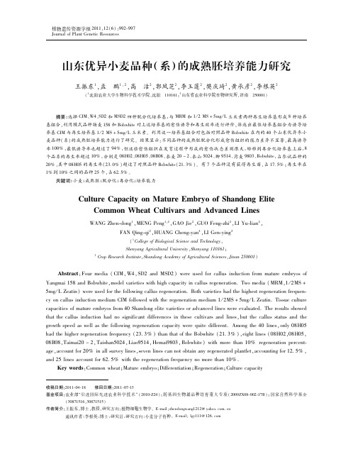 山东优异小麦品种(系)的成熟胚培养能力研究