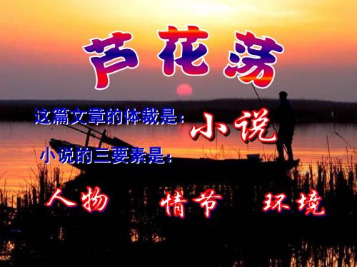 部编鄂教版七年级下册语文《芦花荡》课件