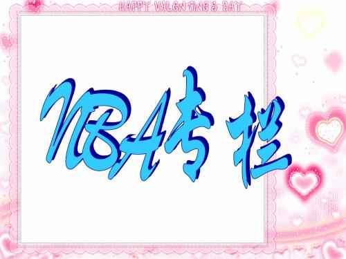 回顾2005-2006赛季NBA简介ppt