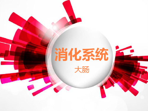 大肠解剖及临床ppt课件