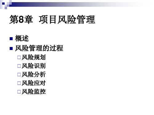 第8章项目风险管理