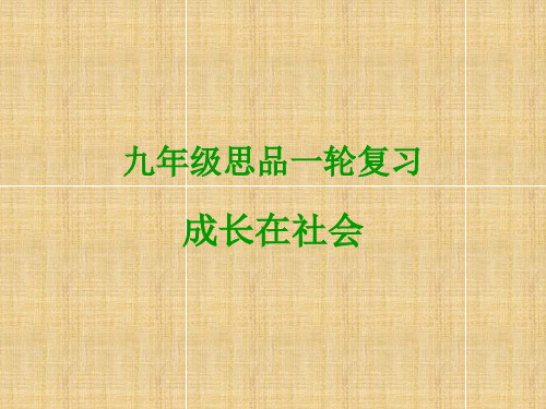 九年级思品一轮复习第一课成长在社会 课件