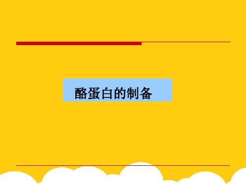 酪蛋白的制备ppt实用资料