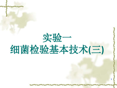 《细菌基本检验技术》PPT课件