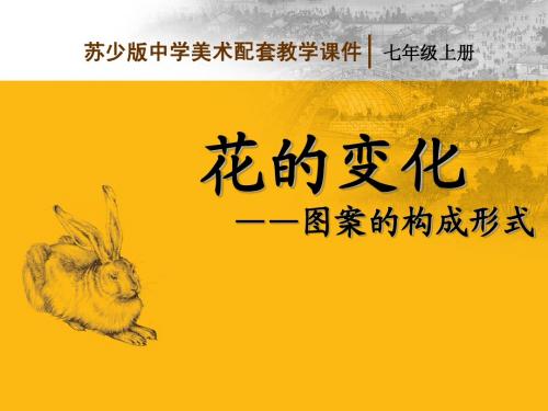 单独纹样