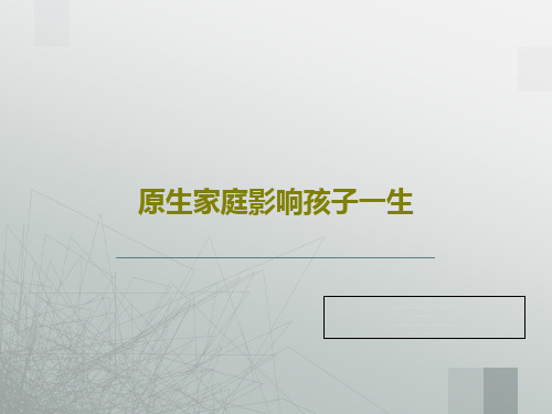 原生家庭影响孩子一生PPT文档29页