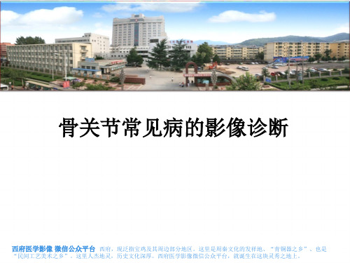骨与关节常见病的影像诊断