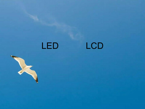 LED和LCD显示ppt课件