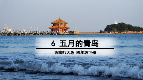 西南师大版四年级语文下册《二单元  6 五月的青岛》课件_2