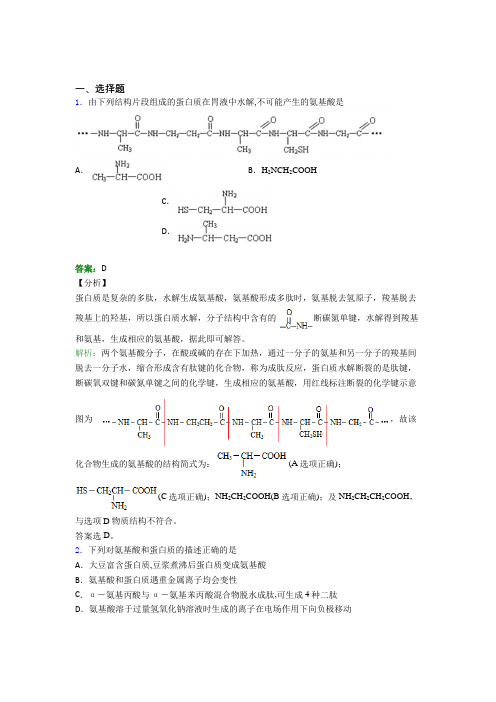 陕西咸阳市高中化学选修三第四章《生物大分子》知识点总结