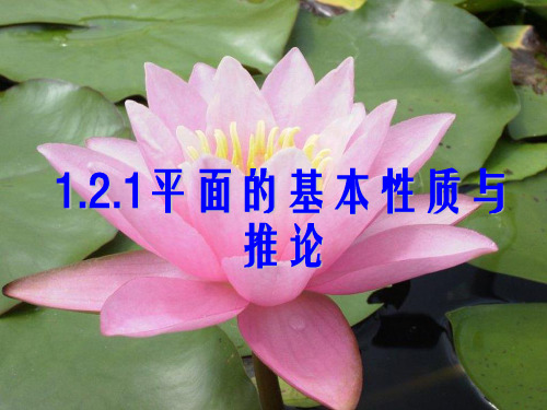 高一数学平面的基本性质及推论新PPT课件
