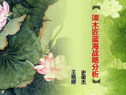 谭木匠蓝海战略分析