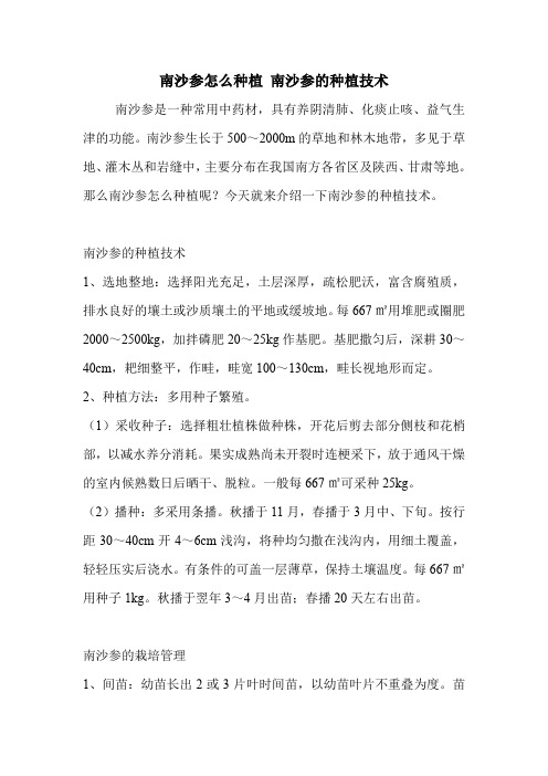 南沙参怎么种植 南沙参的种植技术.doc