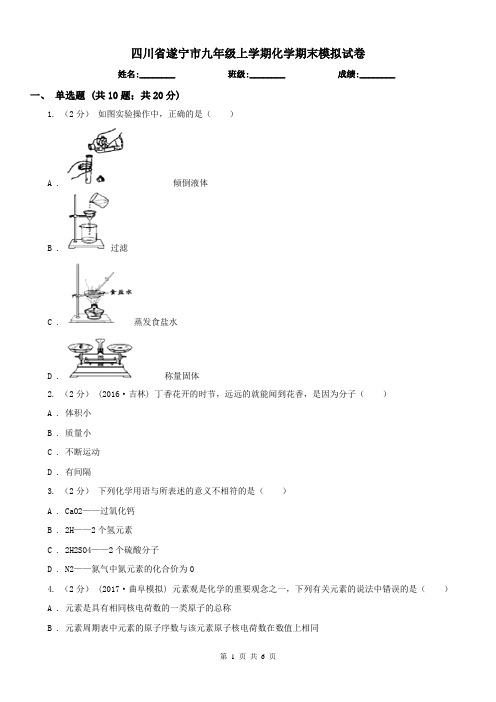 四川省遂宁市九年级上学期化学期末模拟试卷