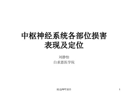 中枢神经系统记忆卡