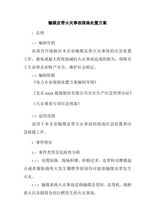 输煤皮带火灾事故现场处置方案