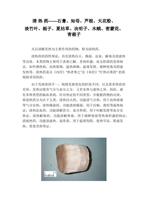 中药师-单味药-第2章-清热药(二)之石膏等