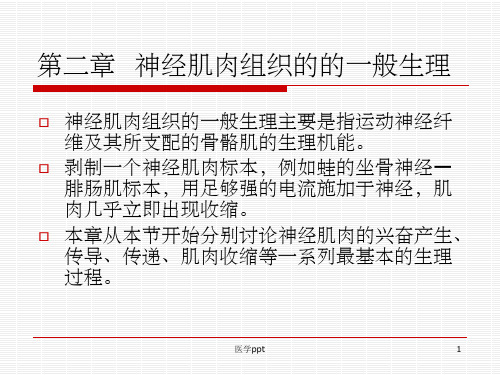 神经肌肉组织的的一般生理